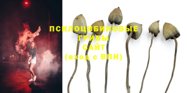 эйфоретик Верхний Тагил