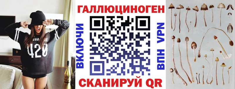 Галлюциногенные грибы мицелий  Купить закладки  Северск 